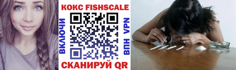 Купить закладки  Кандалакша  COCAIN FishScale 