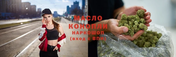 твердый Вяземский