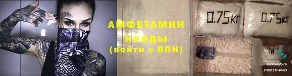 твердый Вяземский