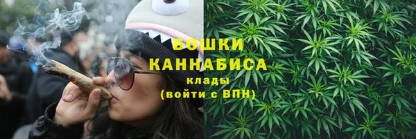 твердый Вяземский