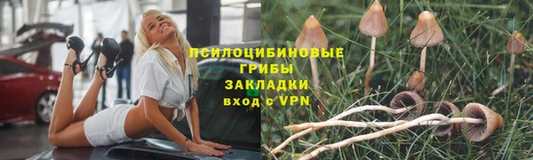 твердый Вяземский