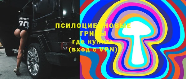твердый Вяземский